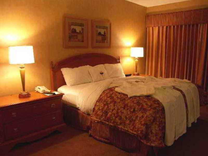 Embassy Suites By Hilton Detroit Metro Airport Romulus Rom bilde